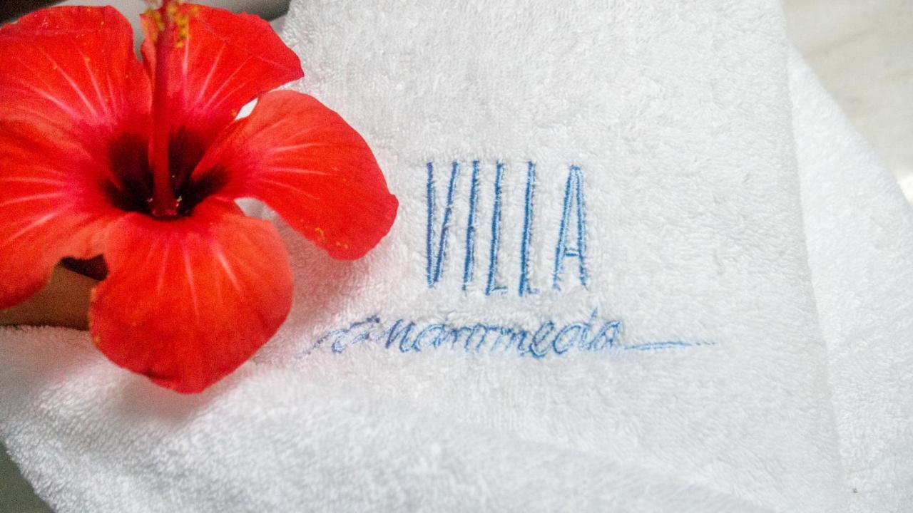 Villa Andromeda Chania  Exteriér fotografie